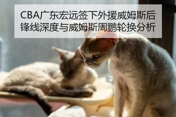 CBA广东宏远签下外援威姆斯后锋线深度与威姆斯周鹏轮换分析