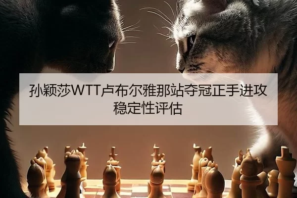 sun-ying-sha-lu-bu-er-ya-na-zhan-duo-guan-zheng-shou-jin-gong-wen-ding-xing-ping-gu-2-853.jpg