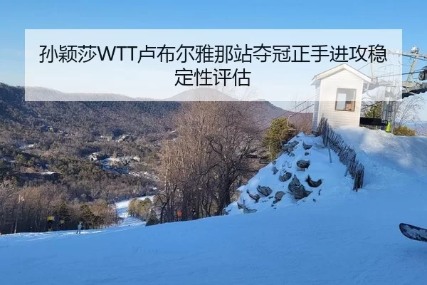 孙颖莎WTT卢布尔雅那站夺冠正手进攻稳定性评估